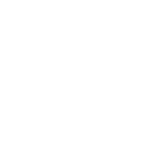 logo-white